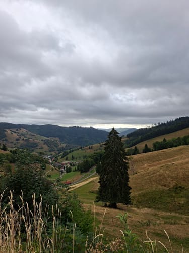 Belchensteig (Genießerpfad)