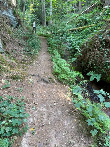Kesselblick