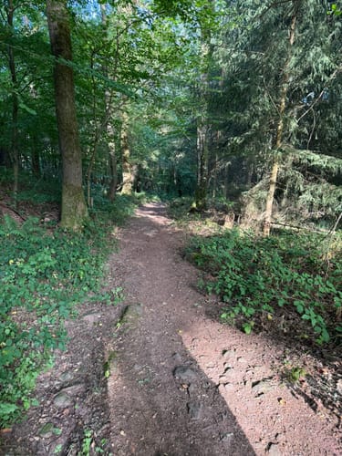 Kesselblick