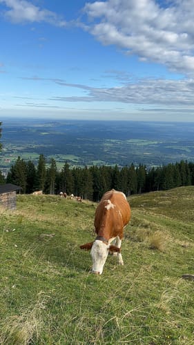 Hörnle Rundweg