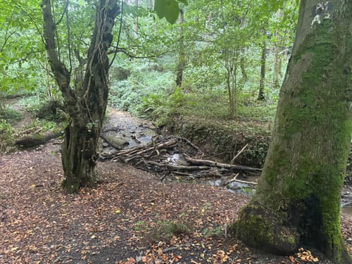 Stinderbachtal und Nösenberg