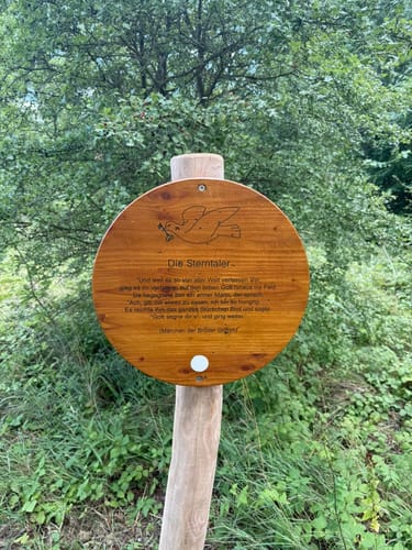 Feensteig im Märchenwald