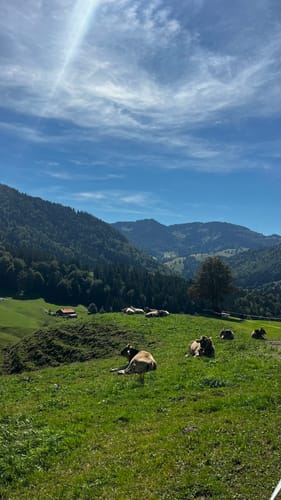 Wildes Wasser (Premiumwanderweg)