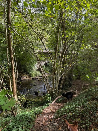 Romika-Weg (Traumschleife)