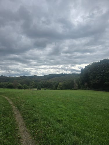Burg Rundwanderweg A7