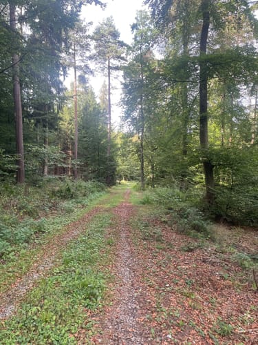 Rund um Langensteinbach