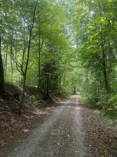Rund um Langensteinbach
