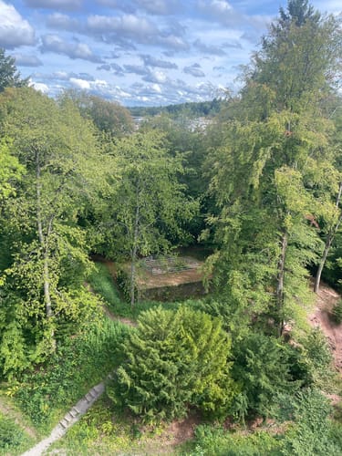 Rund um Langensteinbach