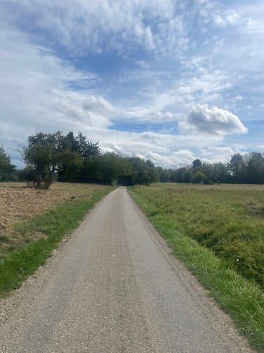 Rund um Langensteinbach