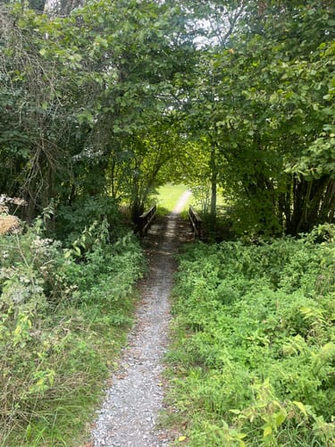 Rund um Langensteinbach