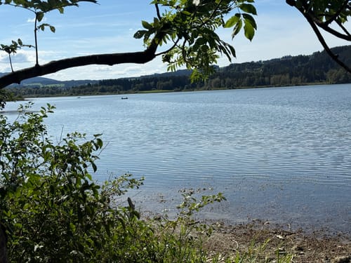 Um den Grüntensee