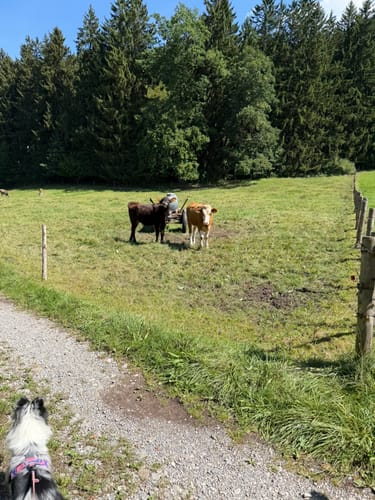 Wertach-Wanderung: Bärensee und Bachtelsee