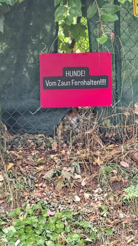 Rundweg NE6 - Auf dem ehemaligen Grenzweg