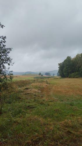 Rundweg NE6 - Auf dem ehemaligen Grenzweg