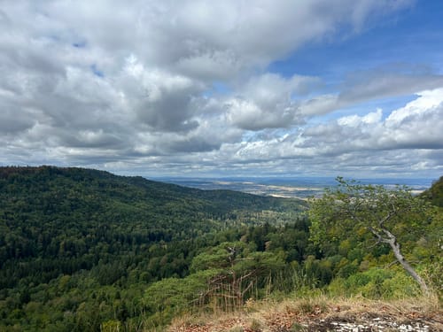 Zollernburg-Panorama (Traufgang)