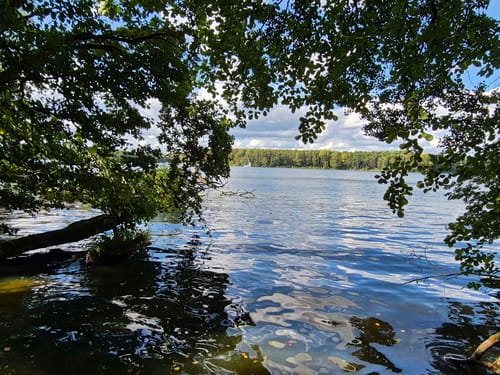 Wanderweg Schmöckwitzer Werder