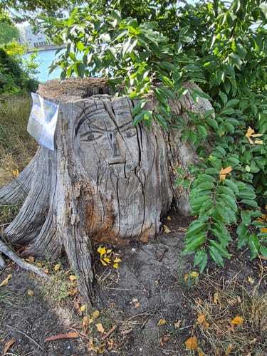 Wanderweg Schmöckwitzer Werder