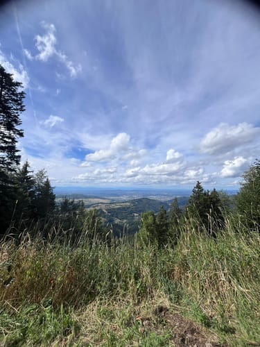 Schauinsland Rundweg