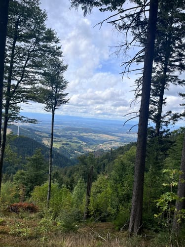 Schauinsland Rundweg
