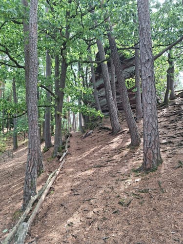 Napoleon-Steig (Premiumwanderweg)