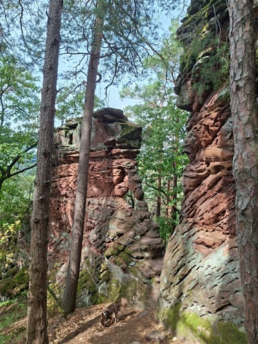 Napoleon-Steig (Premiumwanderweg)