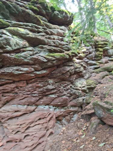 Napoleon-Steig (Premiumwanderweg)
