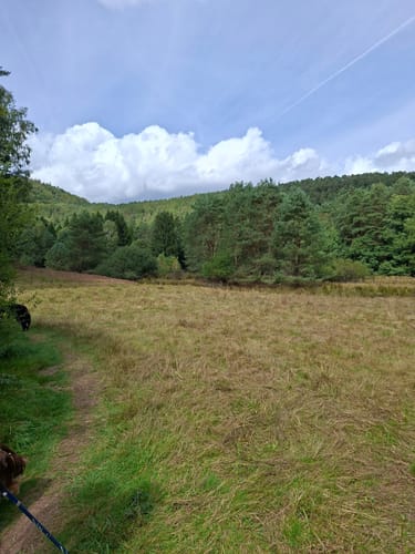 Napoleon-Steig (Premiumwanderweg)