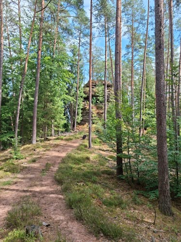 Napoleon-Steig (Premiumwanderweg)