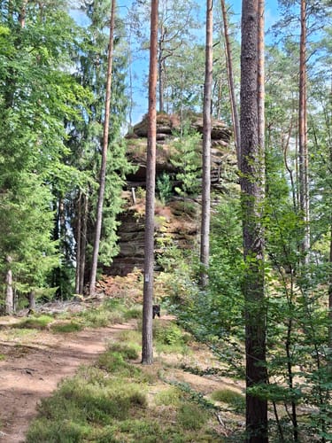 Napoleon-Steig (Premiumwanderweg)