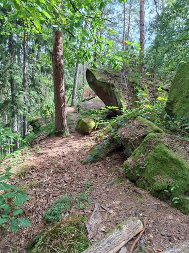 Napoleon-Steig (Premiumwanderweg)