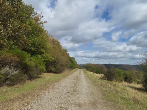 Bird Watching Runde: Von Vogelsang über die Urftseebrücke