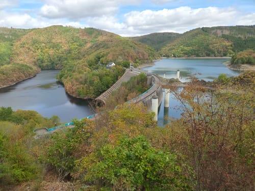 Bird Watching Runde: Von Vogelsang über die Urftseebrücke