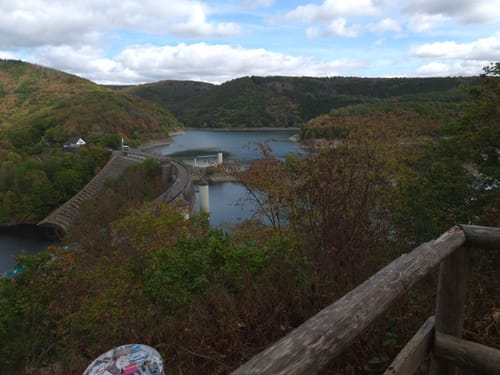 Bird Watching Runde: Von Vogelsang über die Urftseebrücke