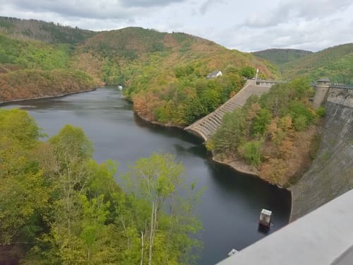Bird Watching Runde: Von Vogelsang über die Urftseebrücke