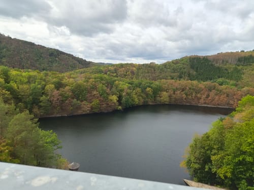 Bird Watching Runde: Von Vogelsang über die Urftseebrücke