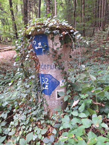 Felsenweg 3 (Bollendorf/Bollenduerf)
