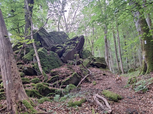 Felsenweg 3 (Bollendorf/Bollenduerf)