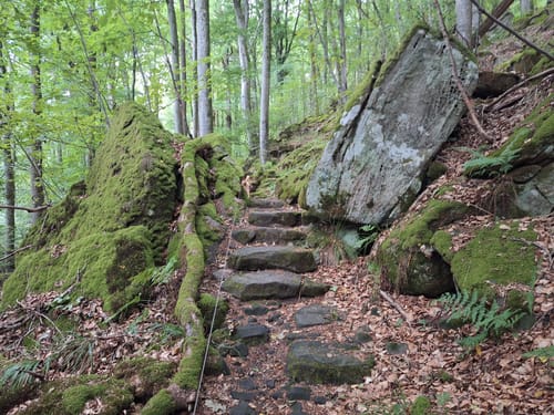 Felsenweg 3 (Bollendorf/Bollenduerf)
