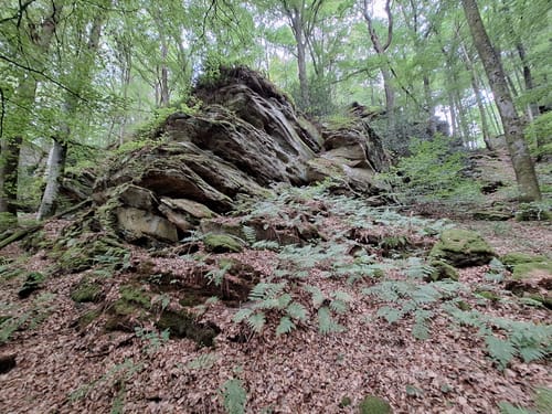 Felsenweg 3 (Bollendorf/Bollenduerf)