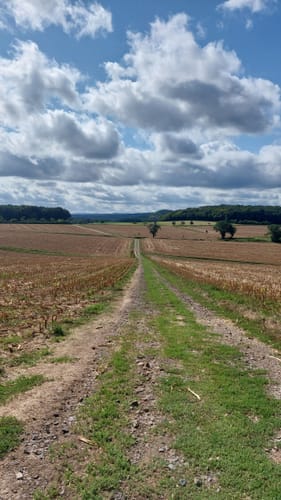 Apollinaris-Schleife (Premiumwanderweg)