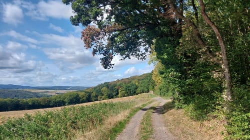 Apollinaris-Schleife (Premiumwanderweg)