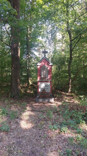 Apollinaris-Schleife (Premiumwanderweg)