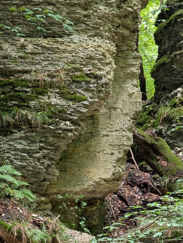 Bielsteinschlucht