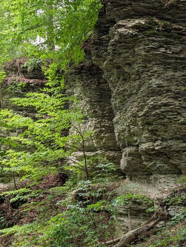 Bielsteinschlucht