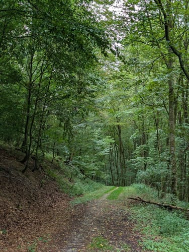 Bielsteinschlucht