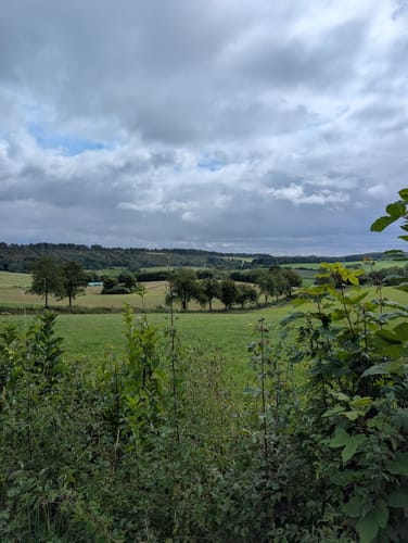 Bielsteinschlucht