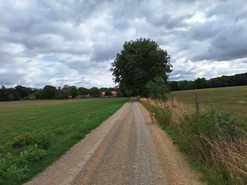 Felsenweg 3 (Bollendorf/Bollenduerf)