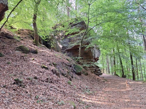 Felsenweg 3 (Bollendorf/Bollenduerf)