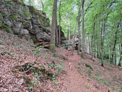 Felsenweg 3 (Bollendorf/Bollenduerf)