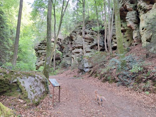 Felsenweg 3 (Bollendorf/Bollenduerf)